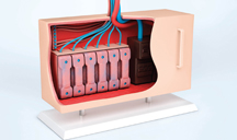 授权平台安全的免费轰炸网页版